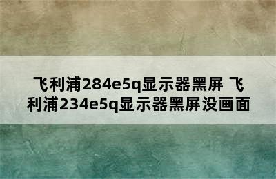 飞利浦284e5q显示器黑屏 飞利浦234e5q显示器黑屏没画面